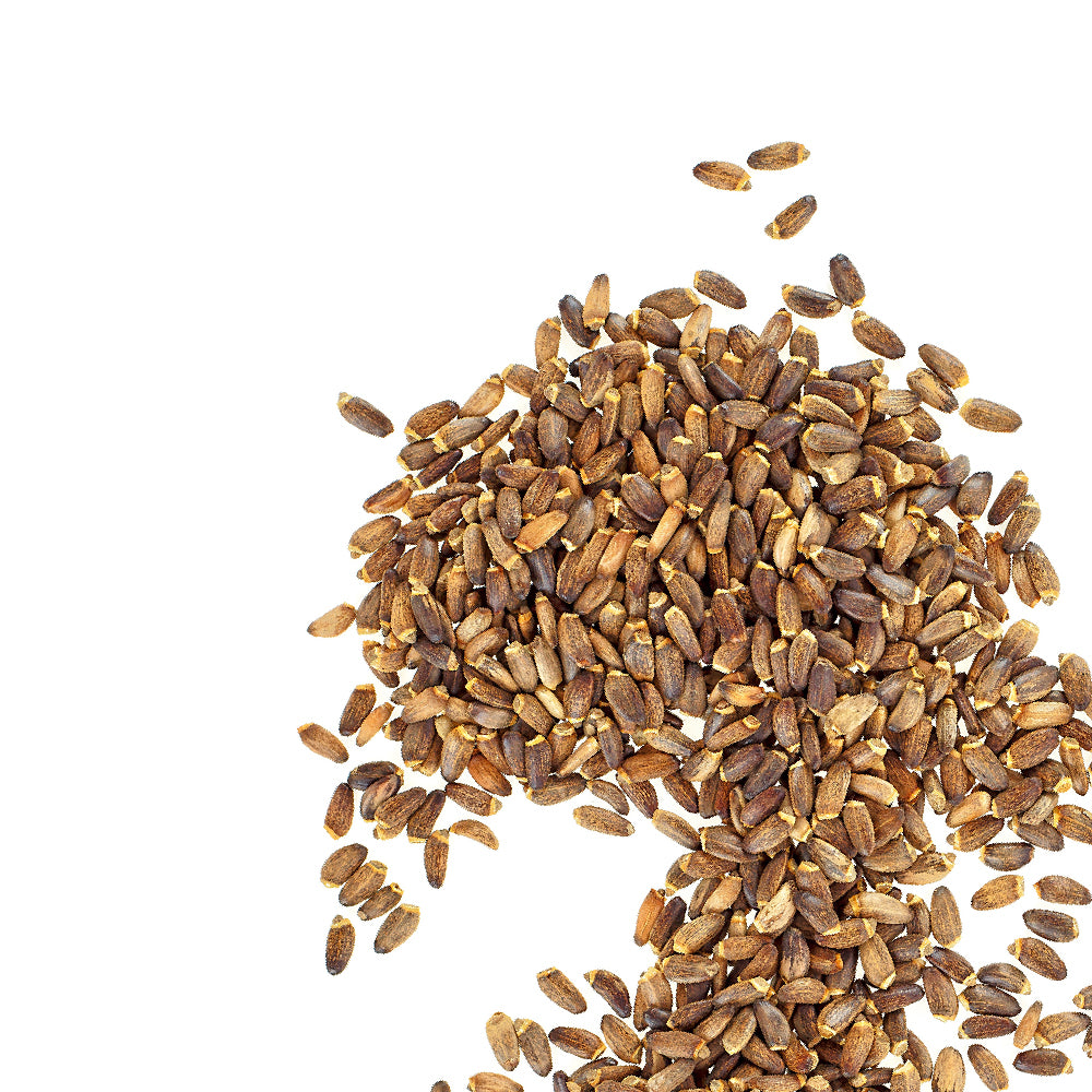 milk thistle ingredient image