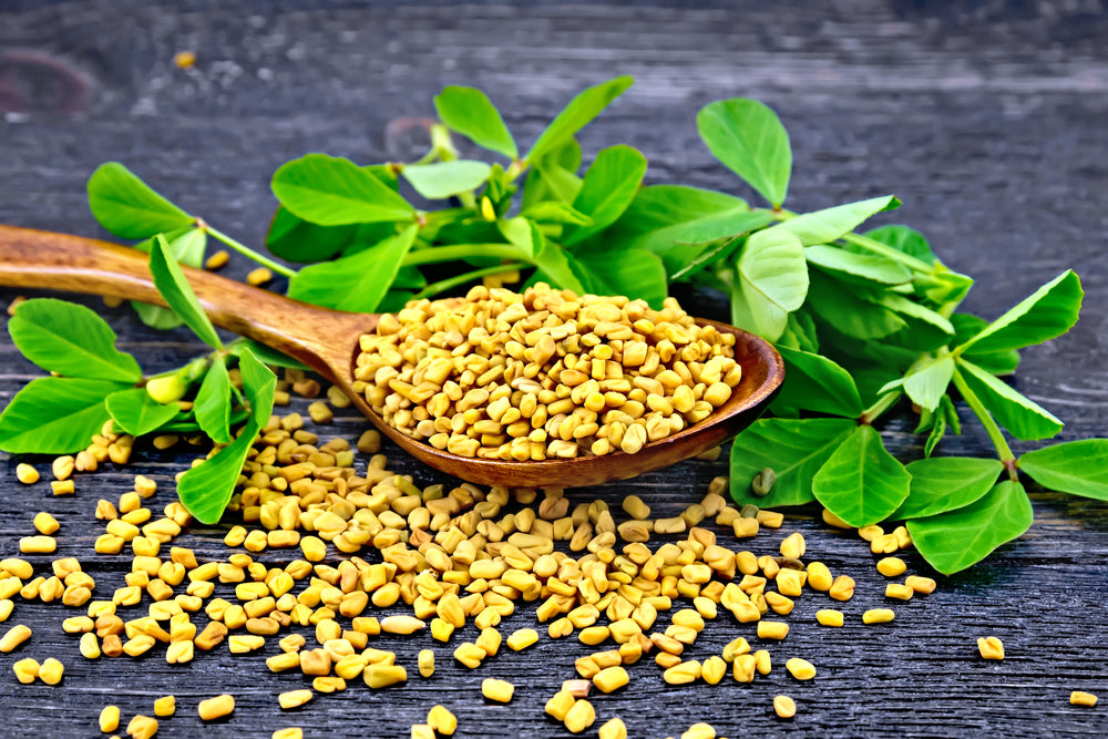 Postnatal Fenugreek Free